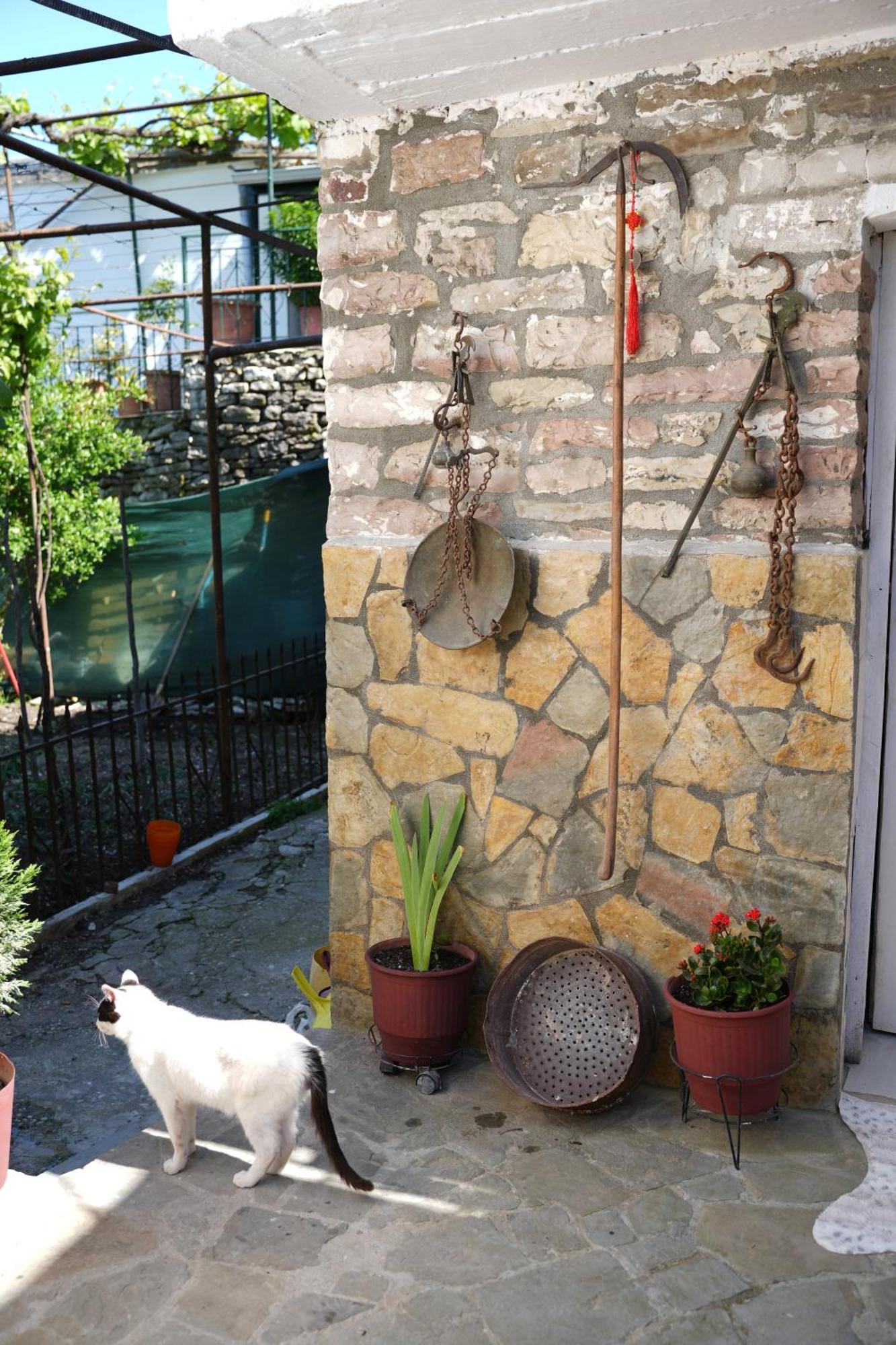 Gjirokastër Guest House Denis מראה חיצוני תמונה